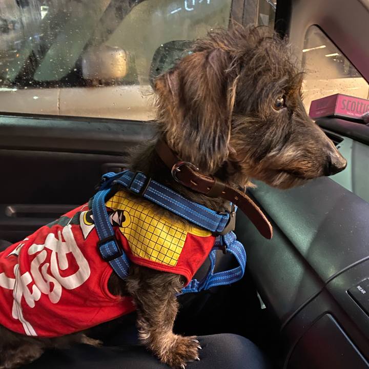 E4bd3fef b846 4ca6 9c7e 6ca7559ecce6 1581862364640