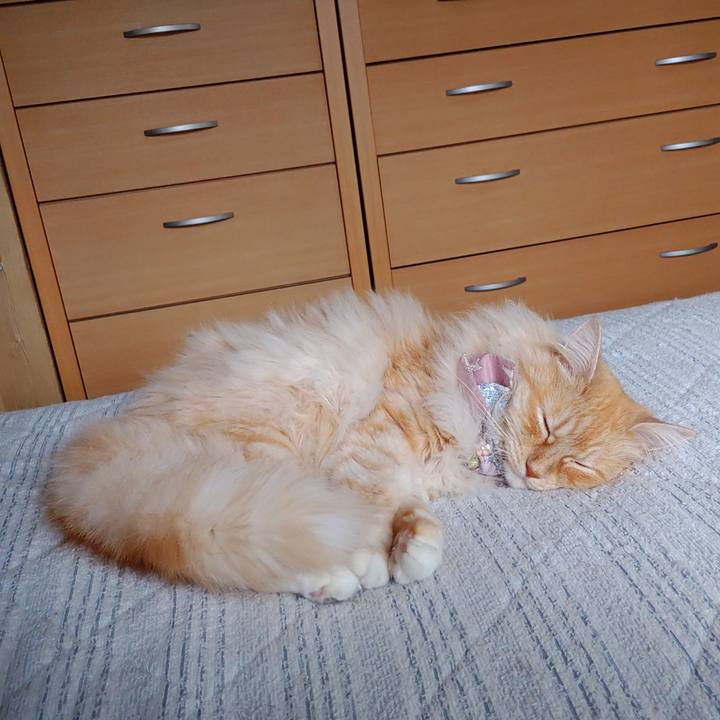 E4bd53b8 86ae 41eb b3fb 209e5af60f8c 1717923644086