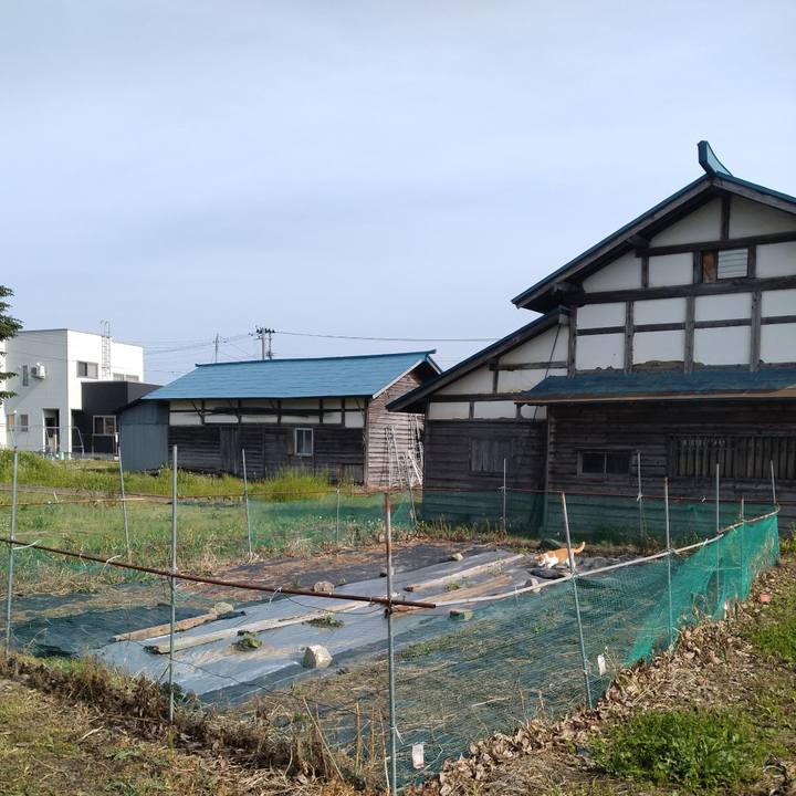 E4bd6715 a379 46f7 91ea fb51cf9bc19e 1748849245244