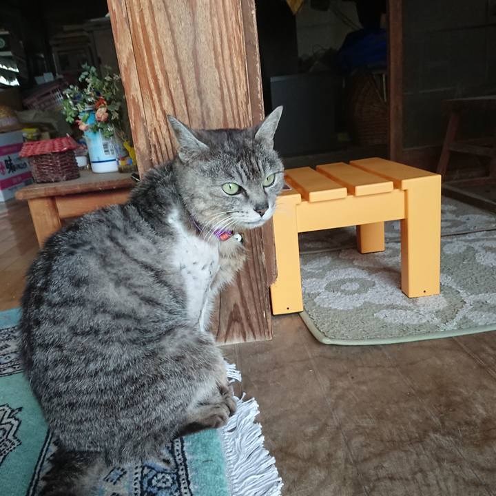 E4bd78ce 442e 43ff a1d0 2442de8695aa 1588670719512