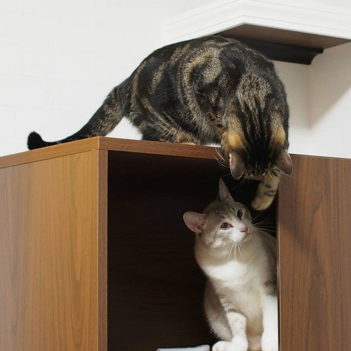 E4bd794a a276 44f2 8f32 dafef0a2a9dc 1538792145198