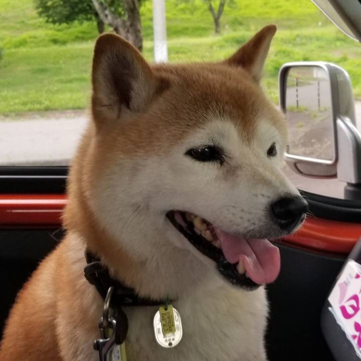 E4bda781 3e6b 44ee bb06 d1fe1333cd63 1658654018739