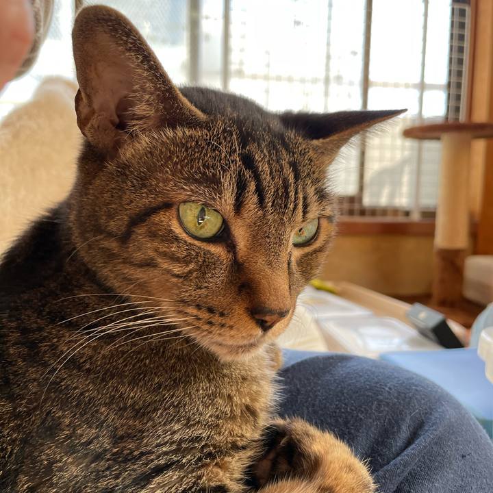 E4bdce17 6731 4d91 806e 70dfe9b5a849 1603848544791