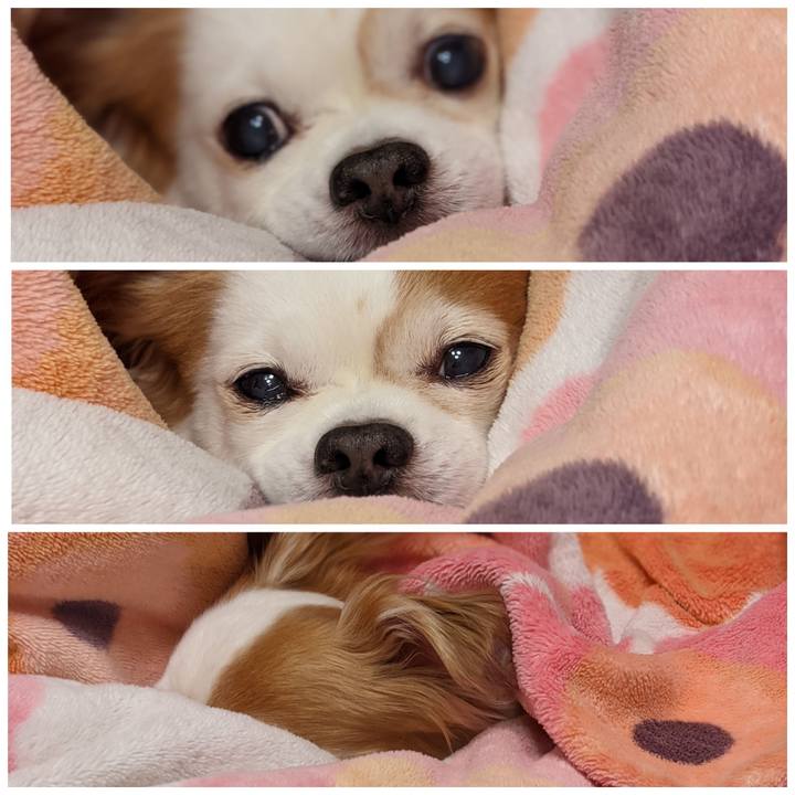 E4bdd57e 5573 4b24 a12a 7f5214b1d5f5 1615591708122