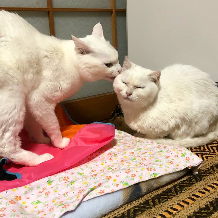 E4bddcc5 b340 4994 aaba f59475bd69e2 1523503752028