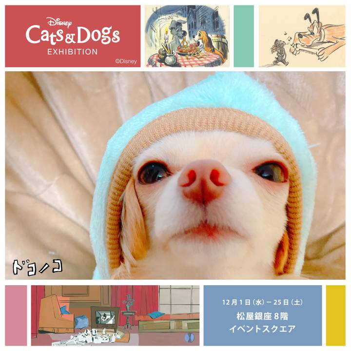 E4bdf6db 550f 4a4e ad6e 89a231269915 1638361958868