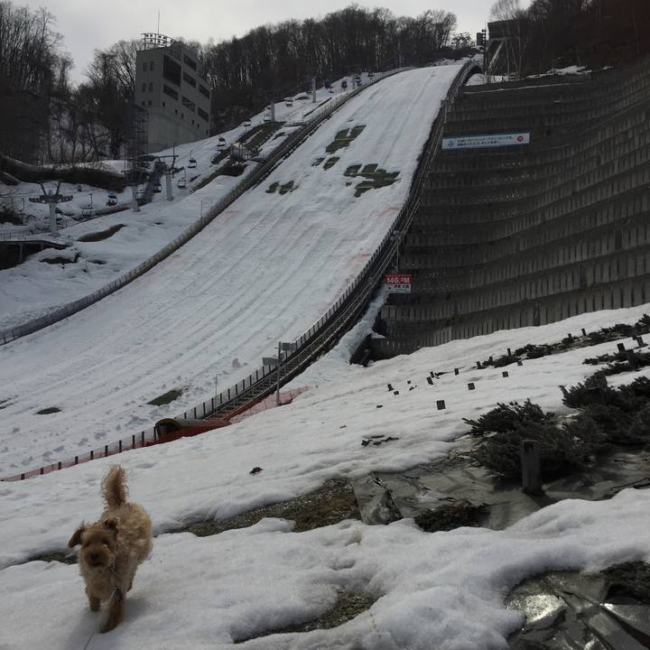 E4bdfb56 a5b1 4199 9a5f e1c182c647ba 1522482605019