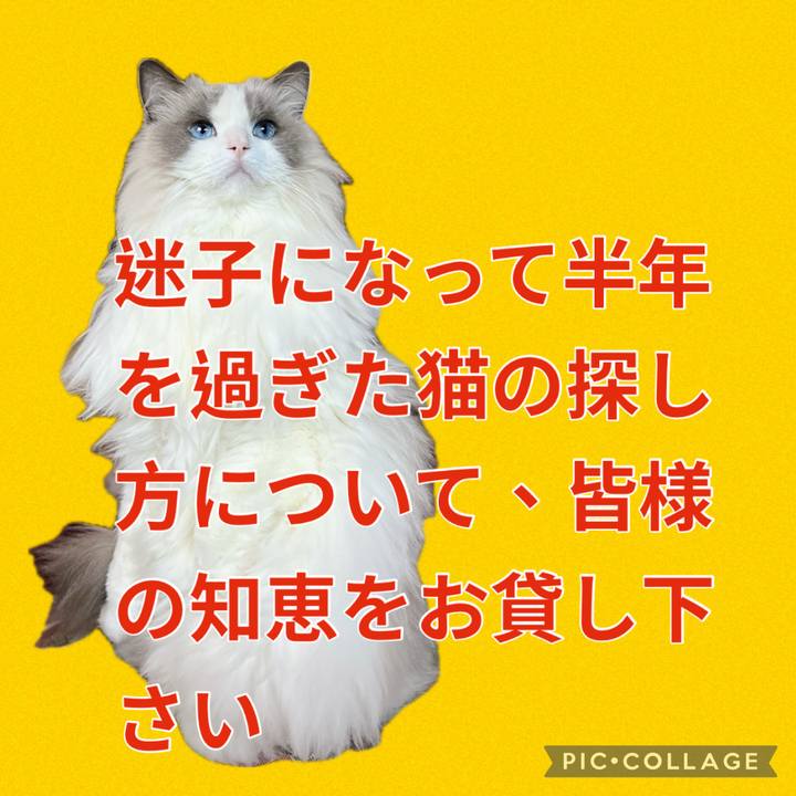 E4be0e09 5c62 41a6 9918 68b724b15519 1745306611398