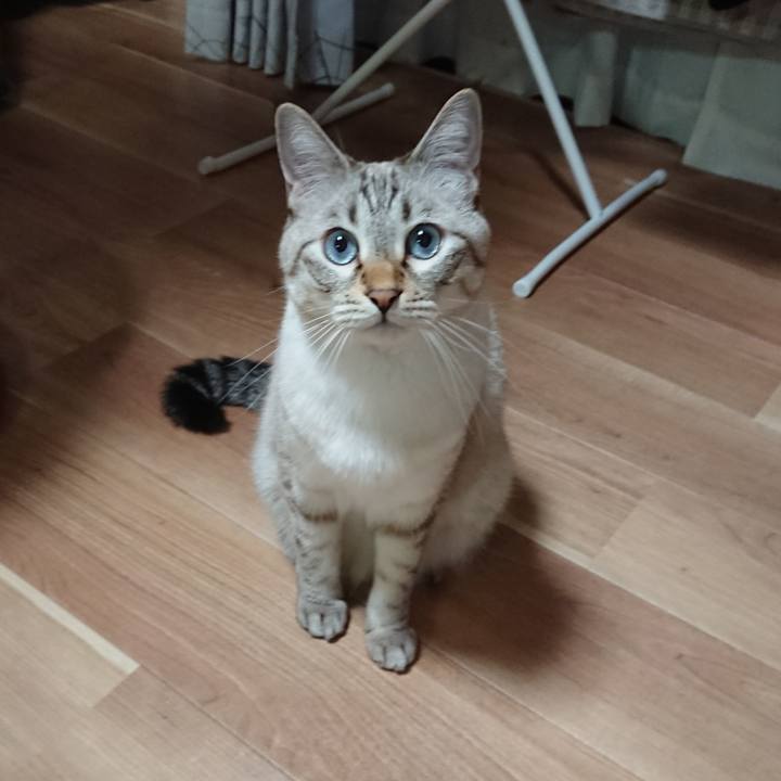 E4be1ec0 f836 413f b8c2 a95200f460ab 1572235143673