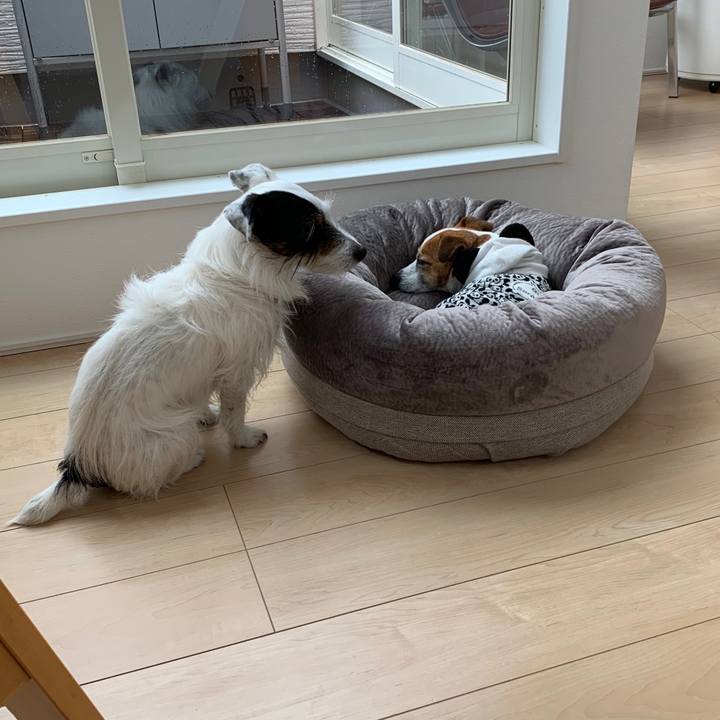 E4be32ad 0d59 44d0 94f7 e87d907e4714 1583281312797