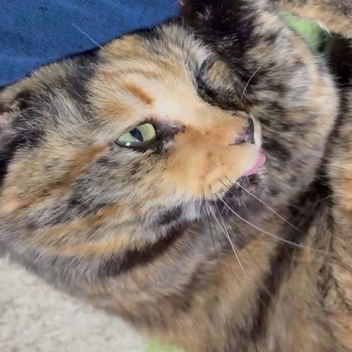 E4be3793 9512 4a5b bdb2 ca689fc7137d 1770841535832