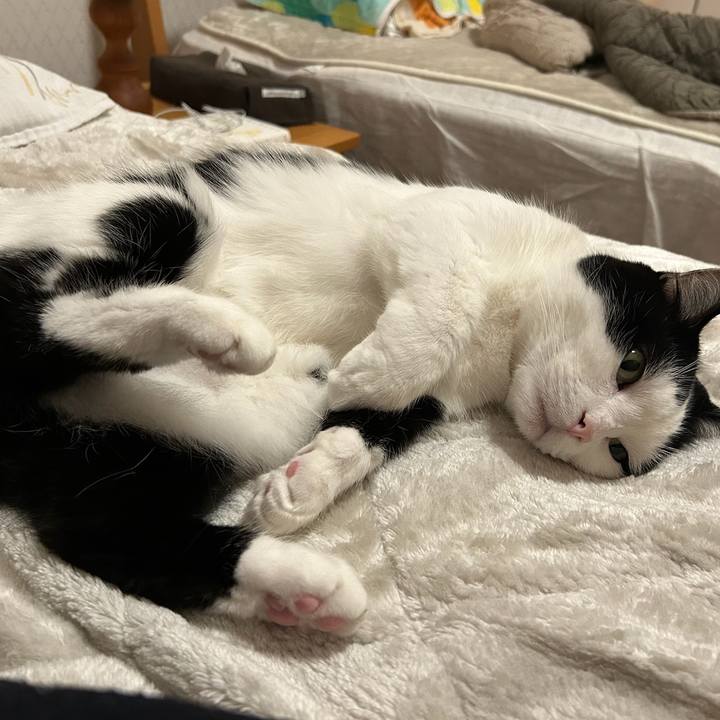 E4be37f0 2d43 4de1 b7f3 ce2fa33aed89 1762471471096