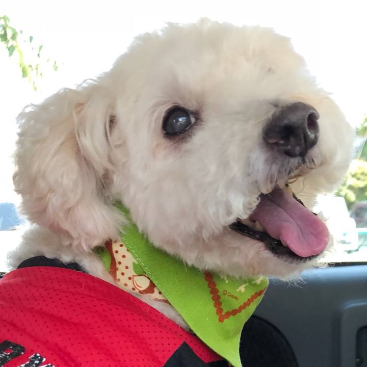 E4be5e17 3cb8 4099 9c1a f8183e088d40 1533956684241