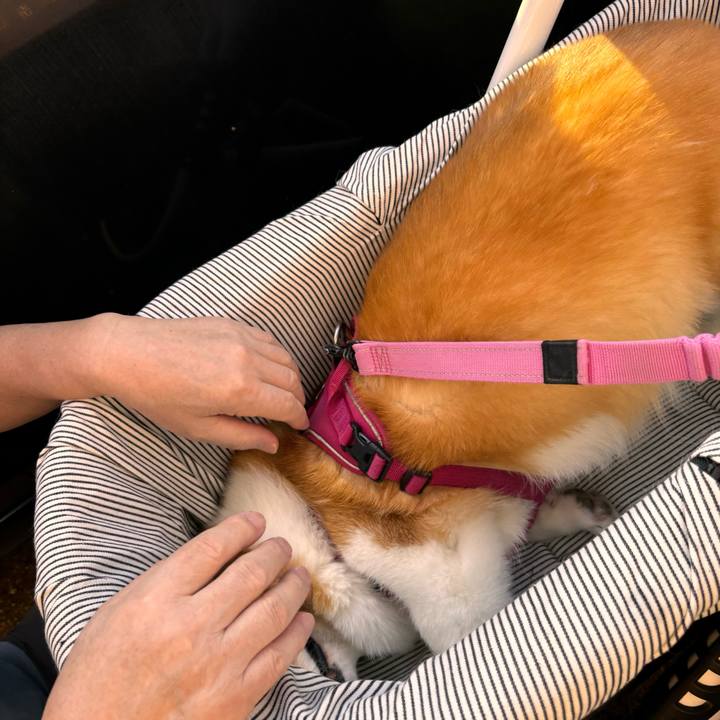 E4be7a89 4533 412b 824f fbd1a8d42f7f 1730606986879