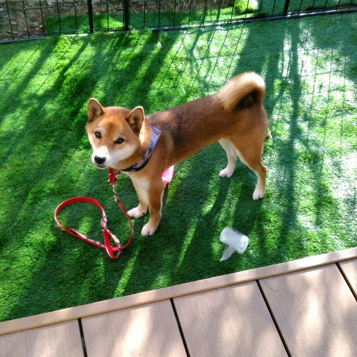 E4beab4d ee13 477c 9710 56e3dc1532ed 1511585151078