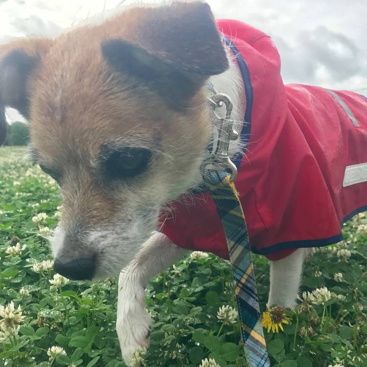 E4becad8 be52 4b25 801c 2759d67ba0c9 1561357816248