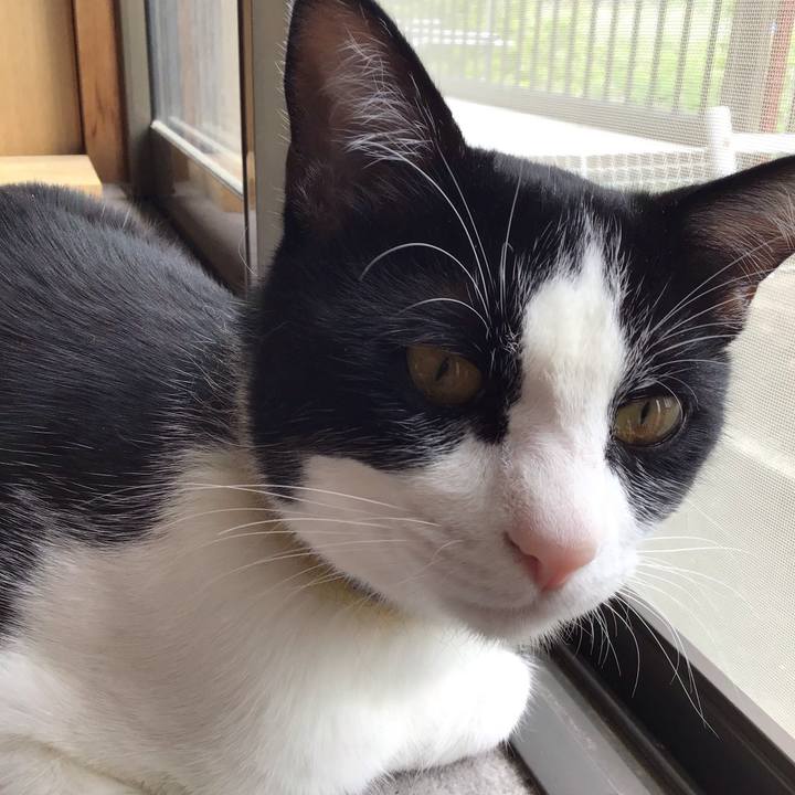 E4bf21f4 6fc0 4563 bf69 6266da9e341f 1652604645604