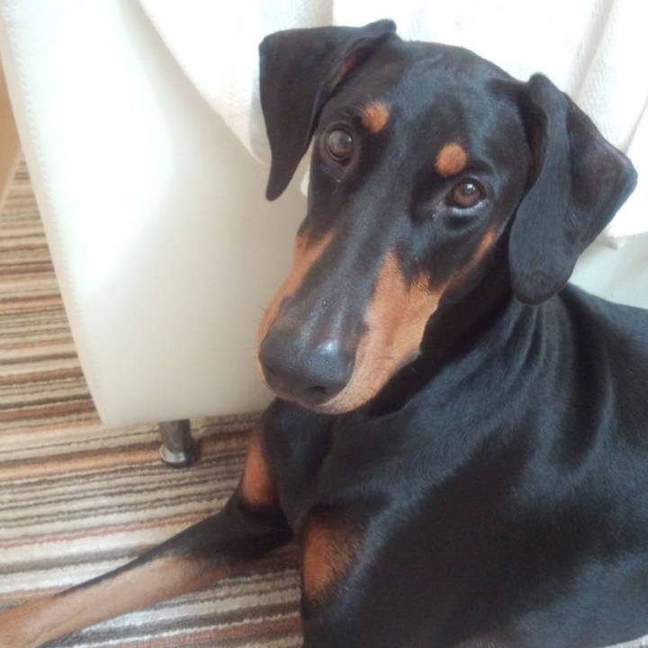 E4bf25cc b3dd 470b 8971 0fcf78b3b51d 1764136838894