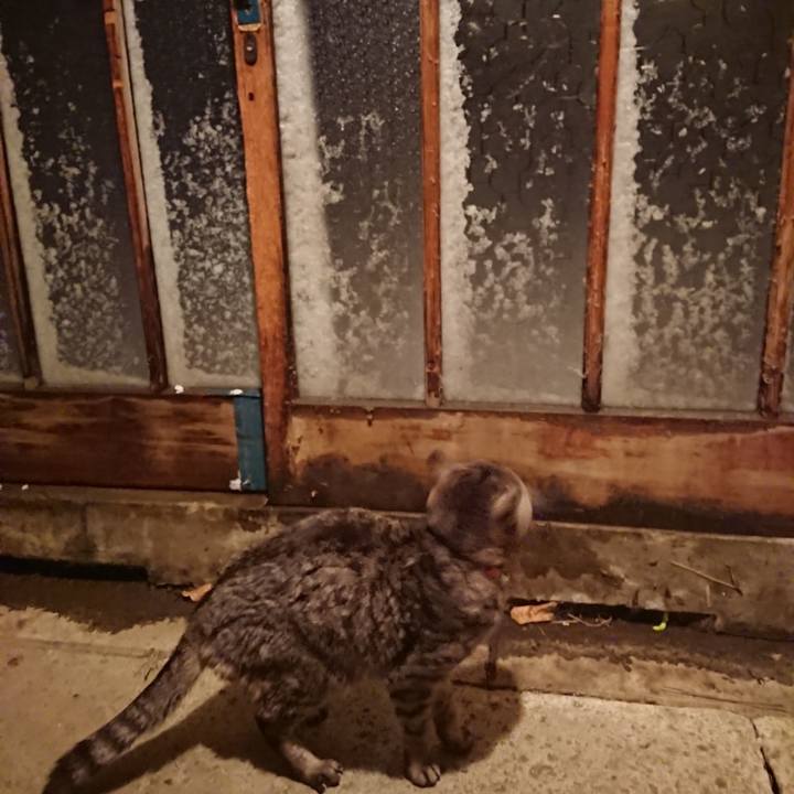 E4bf4a51 5999 4a6d b2db 7548cf7e6ee7 1579597469518