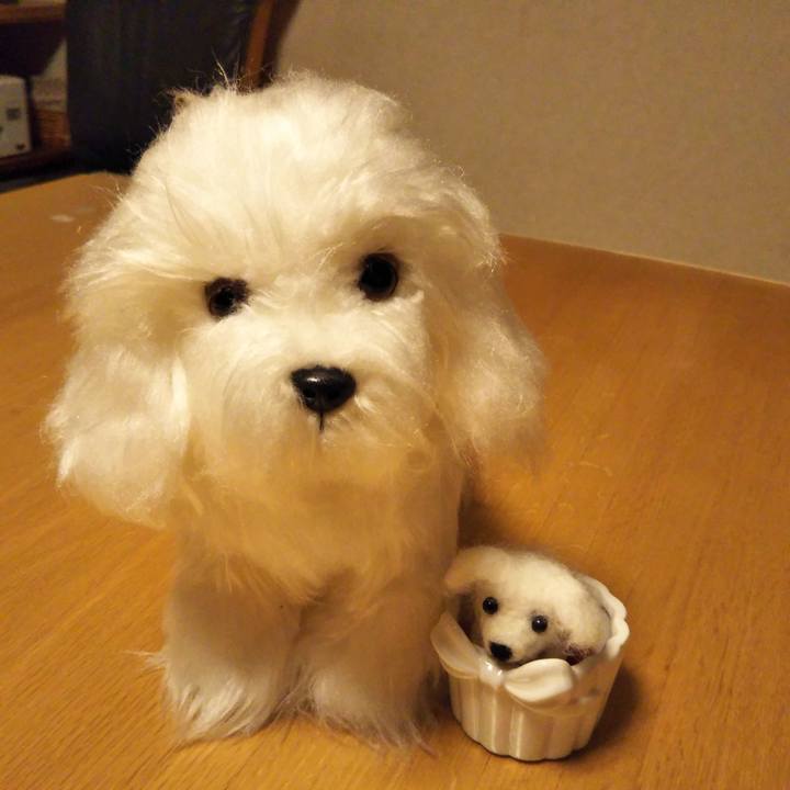 E4bf4bdb dd73 4342 96fc 1b96706b5a7a 1538905637409