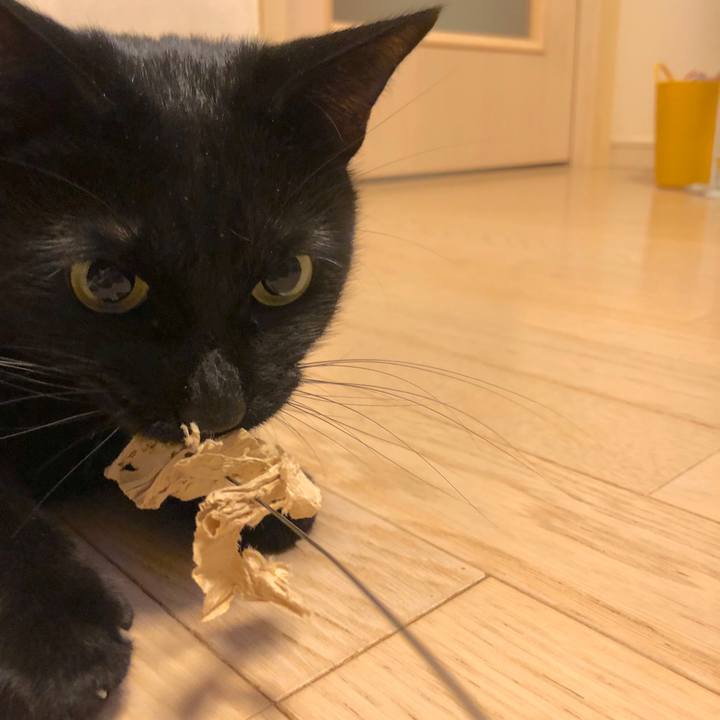 E4bf52e5 9114 4a58 8705 d849bb337cfd 1513163908348