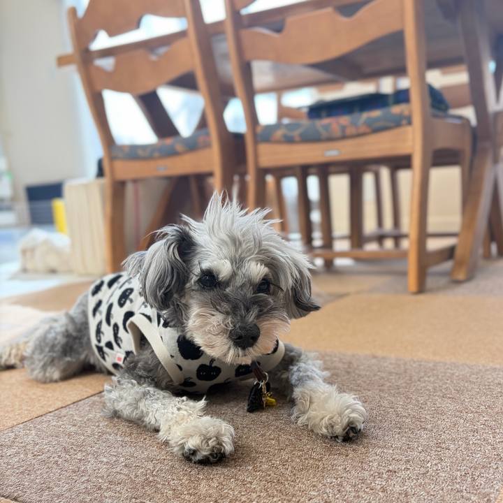 E4bf6130 bf73 435a 881d b6641e5aea10 1771142002255