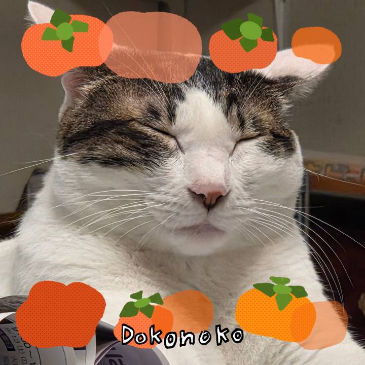 E4bf73be fb6b 4dba ac6e c70f05f5baa7 1761435312887