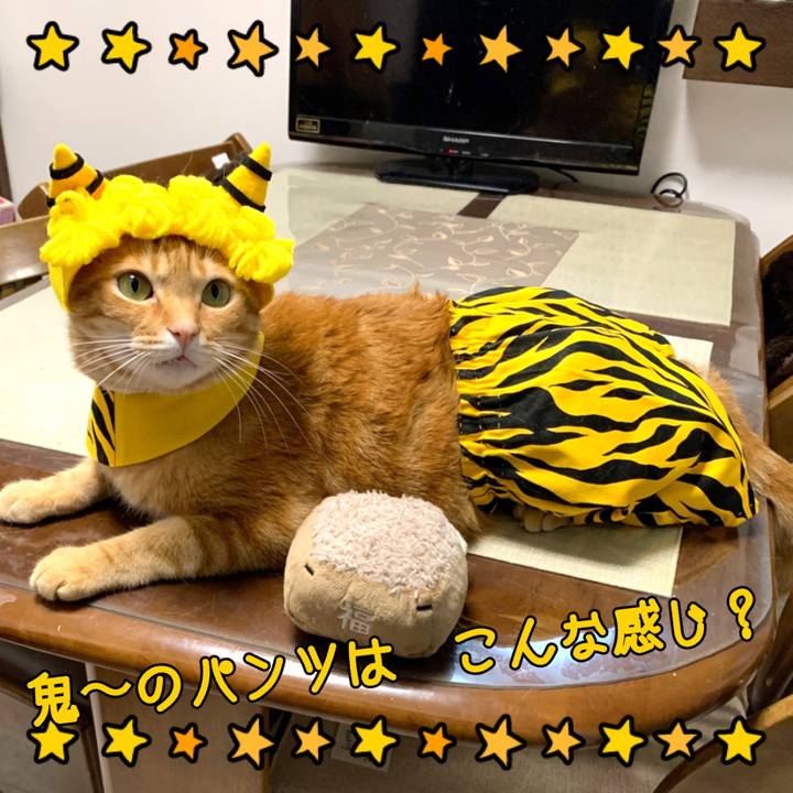 E4bf9542 7389 476c af83 e4ed33de54dd 1580676318828