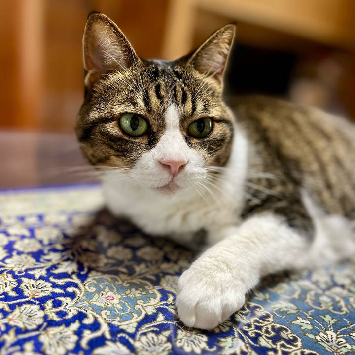 E4bf9d5d 76c7 415f a8ee 25d7e4104add 1757728922250