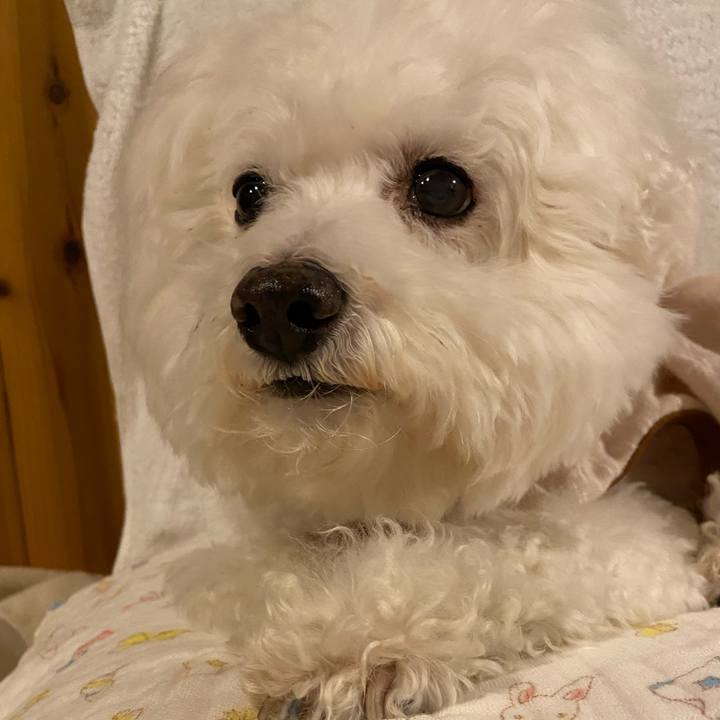 E4bfb997 e770 4f4f 9e23 f661b66c8a98 1639992291738