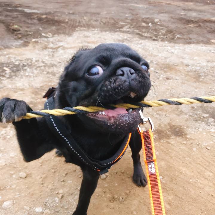 E4bfd19d f35e 421e 9b99 cbc060bc3911 1601505867903