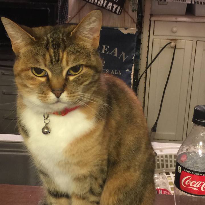 E4bfd77b eb60 45e9 a916 e6d195b3b11a 1557068345665