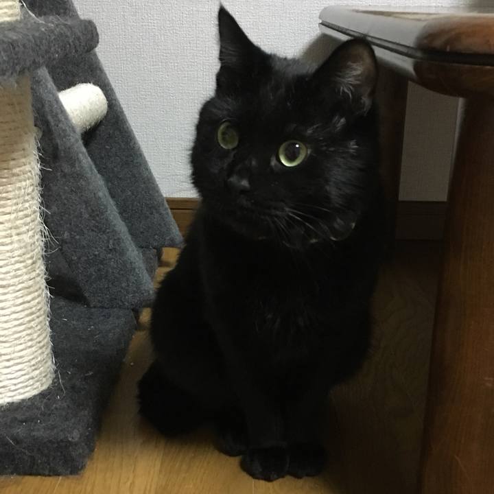 E4bfe718 9bec 4dad 98dd 7ab9c6e6c697 1534478484054