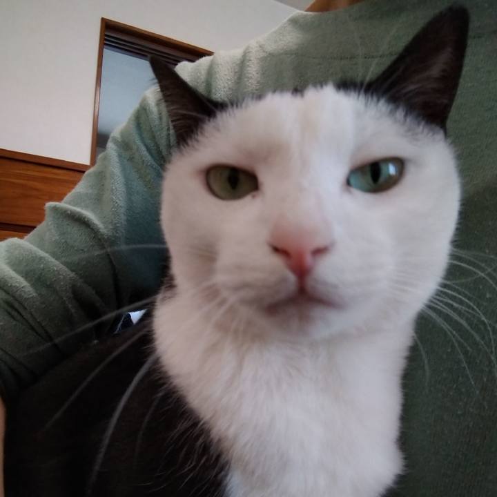 E4bff043 8c78 4abf 9cb4 c7e64870bfb8 1585193963290