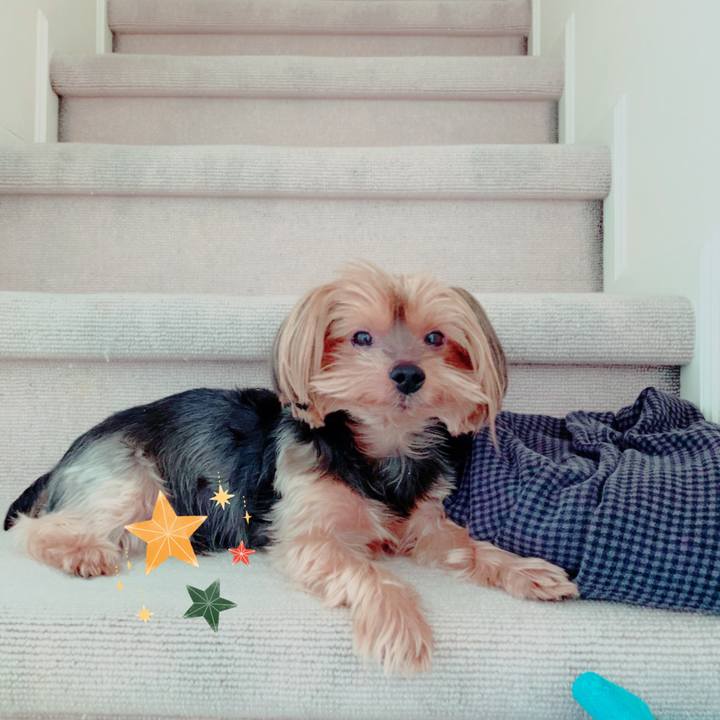 E4bff1eb c276 433d 89a6 a4e86210e676 1577322314064