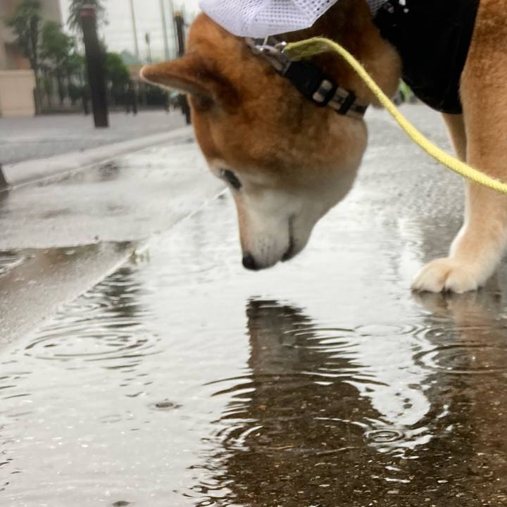 E4bffd24 185d 4116 99f5 c67343a3647a 1684487750047