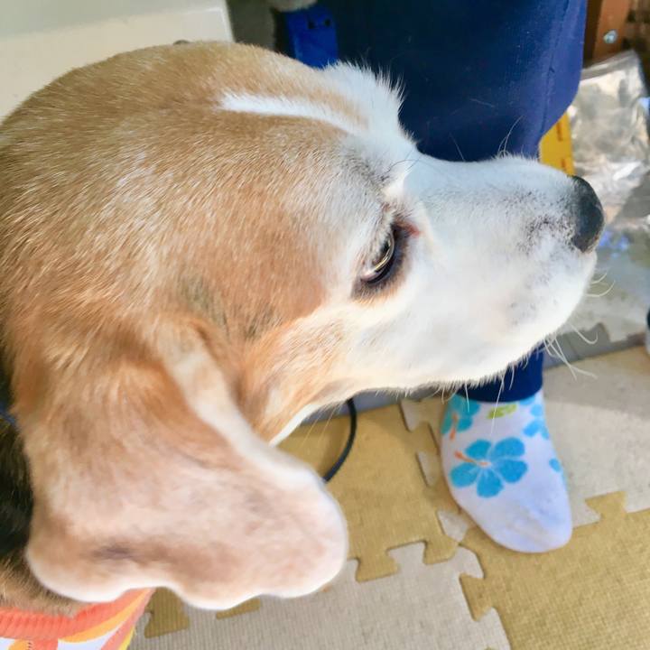 E4c01146 b194 4e41 b078 745a3f9577af 1546093770585