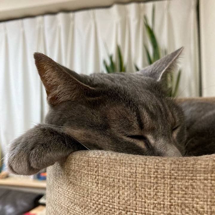 E4c01253 bb16 44b7 88e1 619ad118e67d 1659014887742