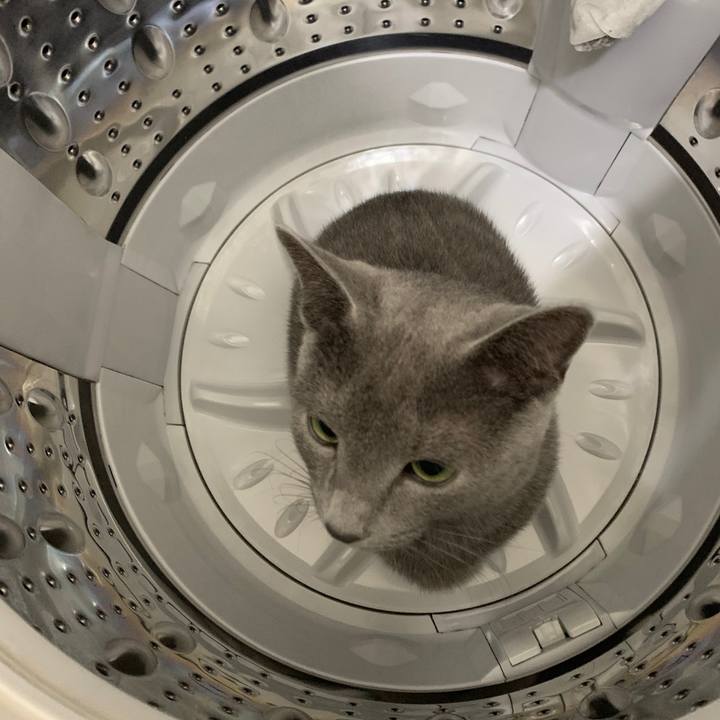 E4c0161f c000 4009 b2c0 86a176f0b374 1576131770876