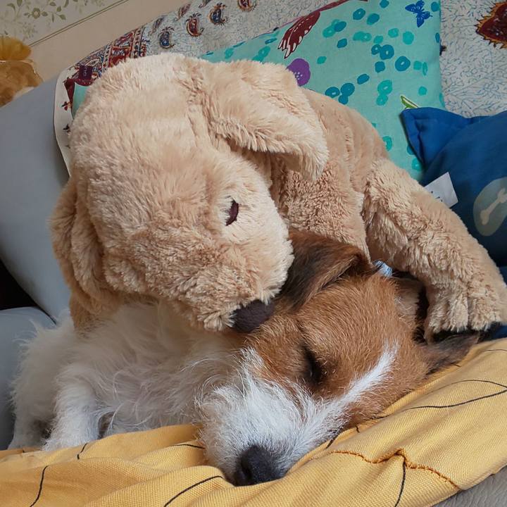 E4c025ff e28b 4556 a1f2 63bbd3500a4f 1567407407202