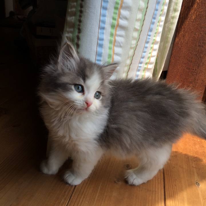 E4c03288 071c 47c6 830f eba667af6450 1535123260647