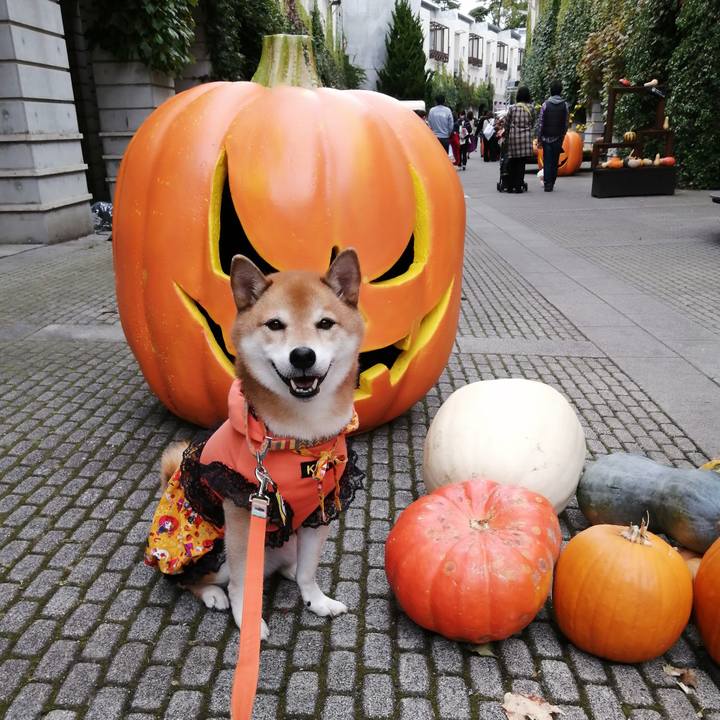 E4c04677 289a 4c7b b1b7 d79a6c48ff6c 1665241554076