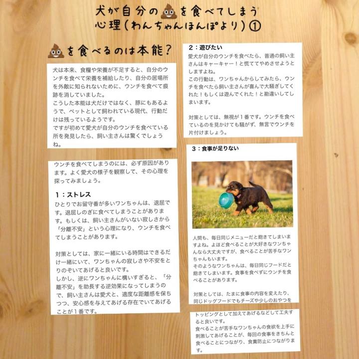 E4c061a3 3208 4056 b16a 4dd0b964f845 1525685666357