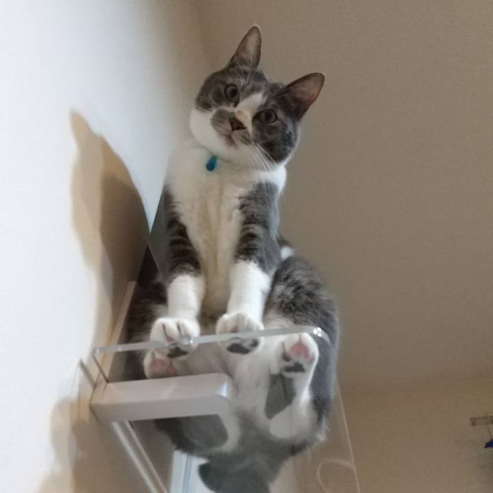 E4c0840a 98c9 43f8 9357 fdde2e9bac3e 1635855445164