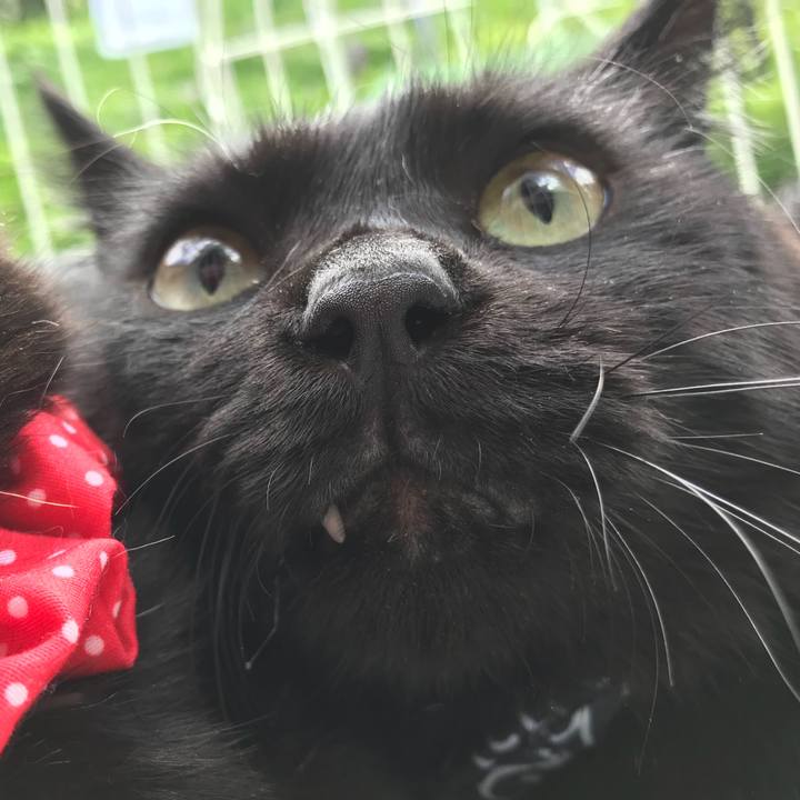 E4c09f37 8441 4ffa a5cb 2c1d268560fa 1537682596669