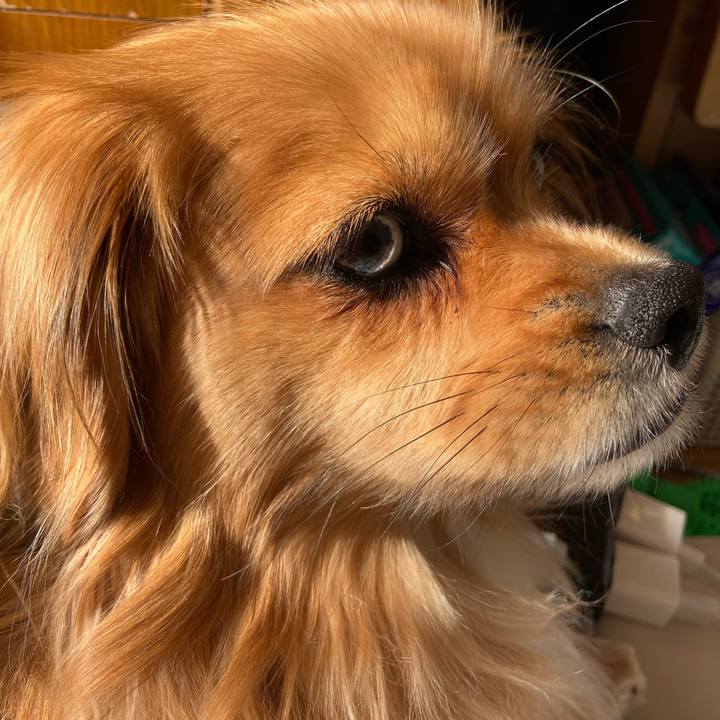 E4c0ab20 1653 42a2 a969 7176ff253d45 1585002011469