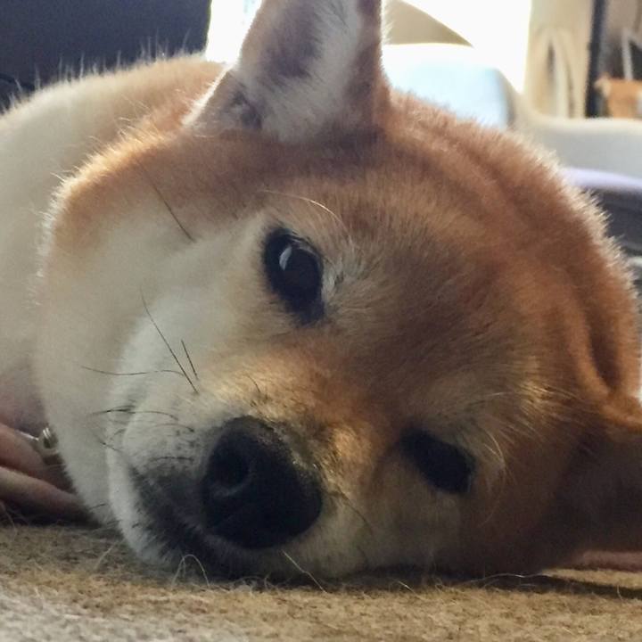 E4c0da5a b096 4956 94fd 5b92d575abbe 1539240509311