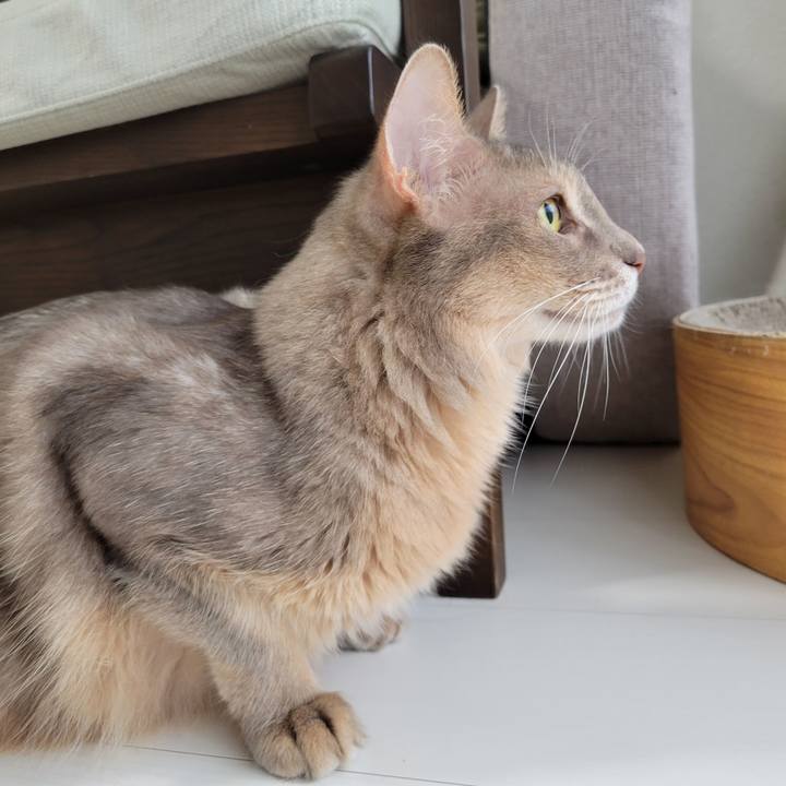 E4c0f2b7 e266 42f7 926d 2e20ccbbe8ea 1696384412646