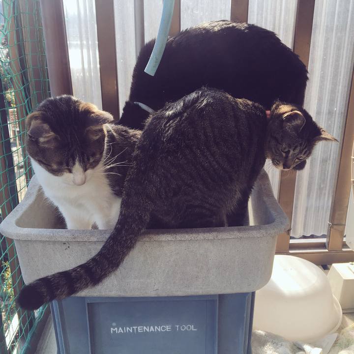 E4c16fa8 4167 4d90 8368 c217a666d97b 1519780207326