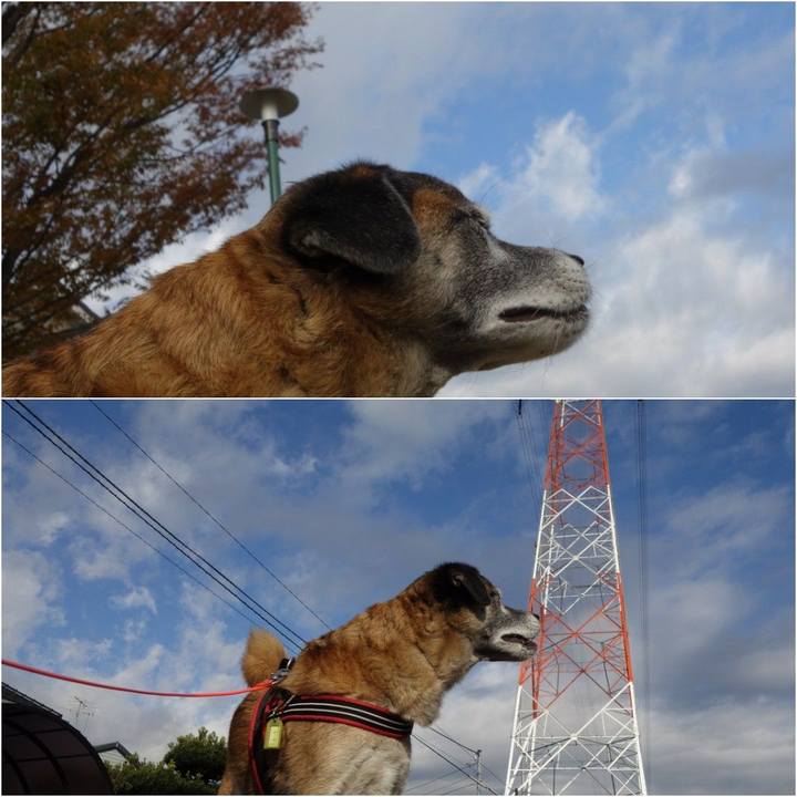 E4c1712a b375 4648 81f3 2189daa48e6f 1574123416739